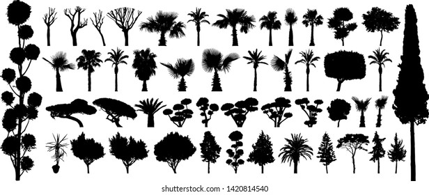Tree silhouette black vector. Isolated set forest plants bushes on white background