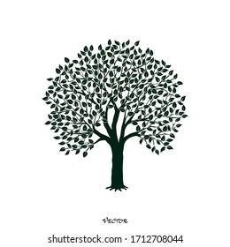 Tree silhouette with branches for logo, label, sign. Vector illustration.