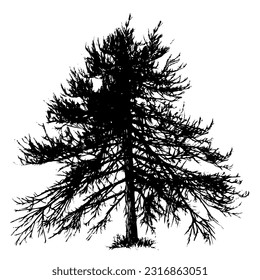 Tree Silhouette with branches and twigs Vector Illustration 
