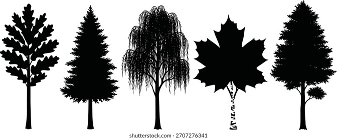 Baum Silhouette Clipart, schwarze Vektorbäume, Natursymbole, Walddesign-Elemente, botanische Grafiken, Landschaftsdarstellung, Artenvergleich, weißer Hintergrund