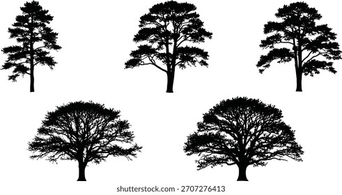 Baum Silhouette Clipart, schwarze Vektorbäume, Natursymbole, Walddesign-Elemente, botanische Grafiken, Landschaftsdarstellung, Artenvergleich, weißer Hintergrund