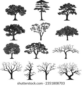 Tree silhouette. Collection of different trees with and without leaves. Forest plants in various positions in a flat style. Vector illustration.