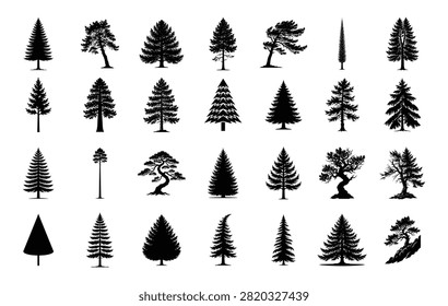Tree silhouette collection for forest landscape design. Includes pine, fir, cedar, and evergreen coniferous species. Black vector shapes for nature branding and outdoor graphics.