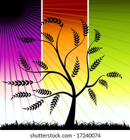 Tree silhouette, color background