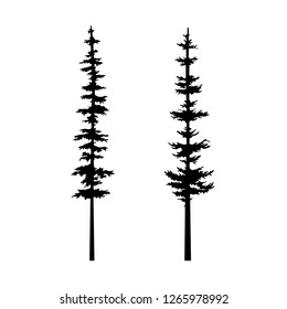 tree silhouette coniferous vector, tattoo tribal  cypress tree coniferous nature silhouette vector, set isolated tree illustration, Sketch for interior design and clothing design