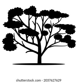 Tree Silhouette Design This design can be used for design components. Can be corrected again. Tree shadow. Brown maple, oak, poplar, birch.