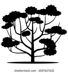 Tree Silhouette Design This design can be used for design components. Can be corrected again. Tree shadow. Brown maple, oak, poplar, birch.