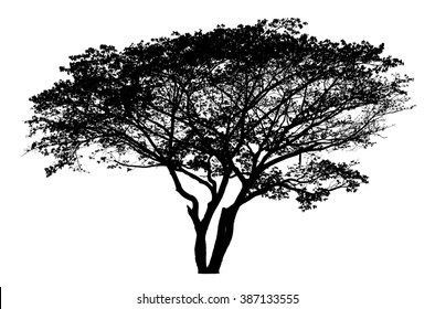 Tree silhouette - detailed vector