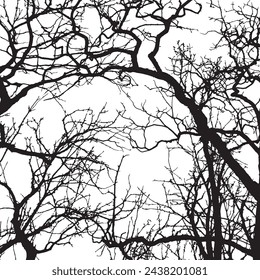 Tree silhouette - detailed vector on white background