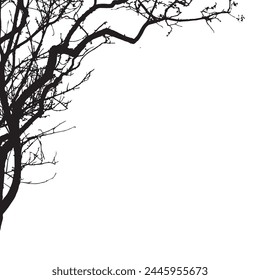 Tree silhouette - detailed vector on white background