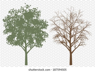 Tree Silhouette In Different Seasons