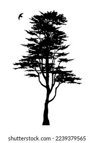 Tree silhouette and eagle vector isolated on white background 
