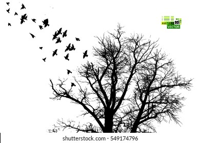 tree silhouette with flying birds