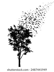 Tree silhouette and flying birds. hand drawing. Not AI Vector.