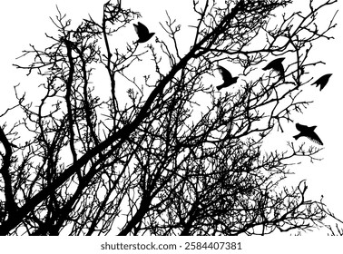 Tree silhouette and flying birds. hand drawing. Not AI Vector.