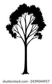 Tree silhouette. Forest and park deciduous tree. Vector nature isolated retro image