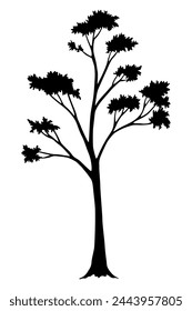 Tree silhouette. Forest and park deciduous tree. Vector nature isolated retro image