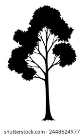 Tree silhouette. Forest and park deciduous tree. Vector nature isolated retro image