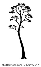 Tree silhouette. Forest and park deciduous tree. Vector nature isolated retro image