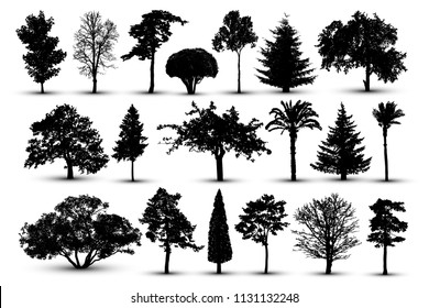 Tree silhouette, forest vector. Nature park. Isolated set, tree on white background