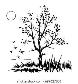 Tree silhouette. Grass and birds. Vector sketch stylized landscape.