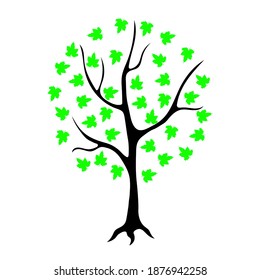 Tree silhouette with green leaves, vector illustration
