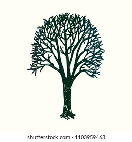 Tree silhouette, hand drawn doodle, sketch in pop art style, black and white vector illustration