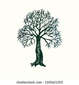 Tree silhouette, hand drawn doodle, sketch in pop art style, black and white vector illustration