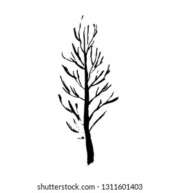 Tree silhouette. Hand drawn vector illustration.