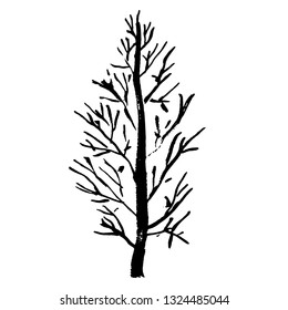 Tree silhouette. Hand drawn vector illustration.