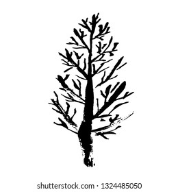 Tree silhouette. Hand drawn vector illustration.