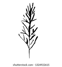 Tree silhouette. Hand drawn vector illustration.