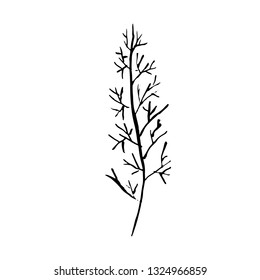Tree silhouette. Hand drawn vector illustration.