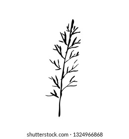 Tree silhouette. Hand drawn vector illustration.
