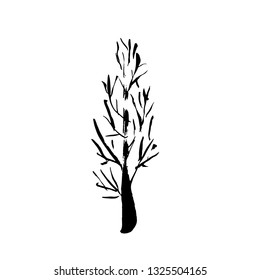 Tree silhouette. Hand drawn vector illustration.