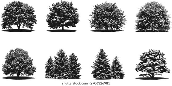 Iconos de la silueta del árbol, árboles de escala de grises, estilos del follaje, Formas negras, gráficas de la naturaleza, Elementos forestales, diseño botánico, arte del paisaje, conjunto mínimo