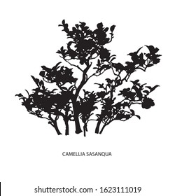 Tree silhouette icons on white background. Japanese bonsai silhouette . Vector