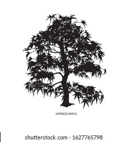 Tree silhouette icons on white background. Japanese bonsai silhouette . Vector