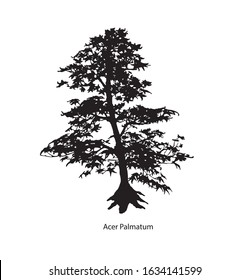 Tree silhouette icons on white background. Japanese bonsai silhouette . Vector. Acer palmatum