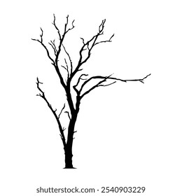 Tree silhouette Illustration with white background vol 02