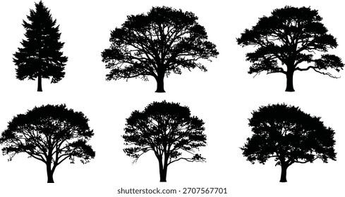 Ilustraciones de la silueta del árbol, iconos negros del vector, diversas Formas del árbol, patrones de ramificación, pinos y árboles frondosos, Elementos de diseño mínimos de la naturaleza