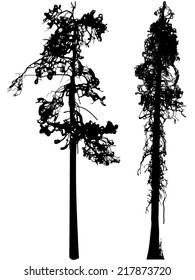 Tree Silhouette Ink Graphic