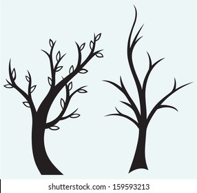 Tree silhouette isolated on blue background