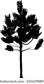 Tree silhouette isolated on transparent background. Vector illustration.