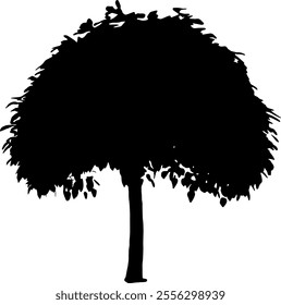 Tree silhouette isolated on transparent background. Vector illustration.
