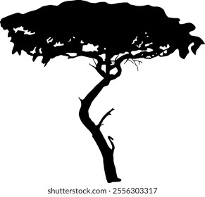 Tree silhouette isolated on transparent background. Vector illustration.