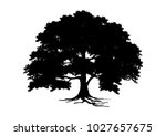 tree silhouette isolated on white background