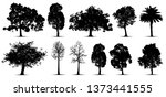 tree silhouette isolated on white background.