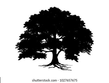 tree silhouette isolated on white background