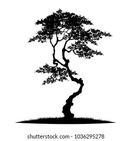 tree silhouette isolated on white background.
